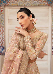 Buy Alluring Pink Shade Luxury Pakistani Wedding Dress in Lehenga Choli Style 2023