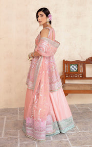 Buy Peach Pink Pakistani Wedding Dress in Double Layered Pishwas Style 2023