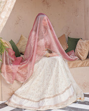 Chikankari Embroidered Pakistani Bridal Dress Lehenga Choli For Women