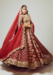 Elegant Indian Bridal Dress in Red Lehenga and Choli Style