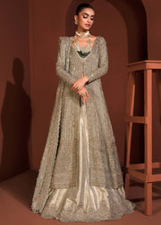 Embellished Gown Lehenga Dupatta Pakistani Bridal Dress