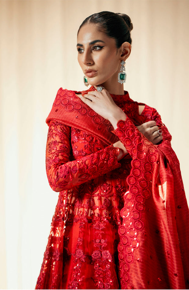 New Royal Deep Red Net Embellished Pakistani Wedding Dress Pishwas Frock