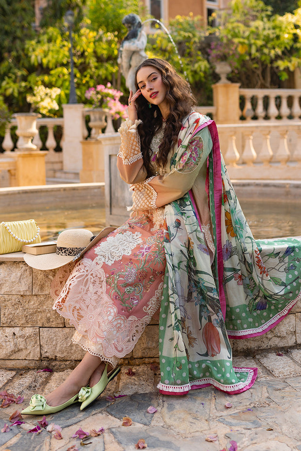 Ombre Shade Luxury Embroidered Pakistani Salwar Kameez Suit 2024