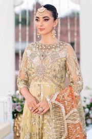 Pakistani Wedding Dress in Royal Gown and Trouser Style