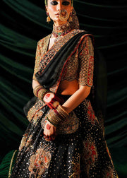 Royal Embellished Black Lehenga with Choli and Dupatta Dress