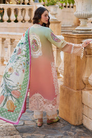 Shop Ombre Shade Luxury Embroidered Pakistani Salwar Kameez Suit 2024