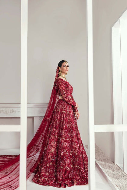 Blood Red Beautiful Indian Wedding Dress for Bride BN1122