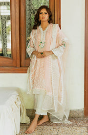 Elegant Kameez Trouser Embroidered Pakistani Eid Dress