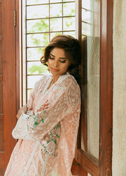 Kameez Trouser Embroidered Pakistani Eid Dress