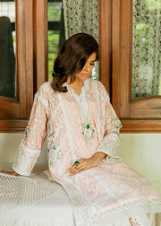 Latest Elegant Kameez Trouser Embroidered Pakistani Eid Dress