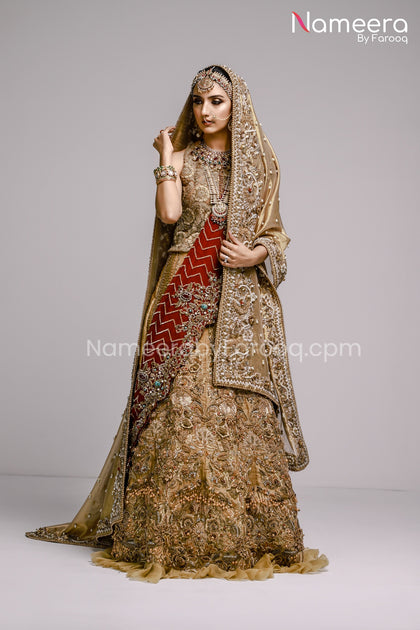 Lehenga design deals for barat