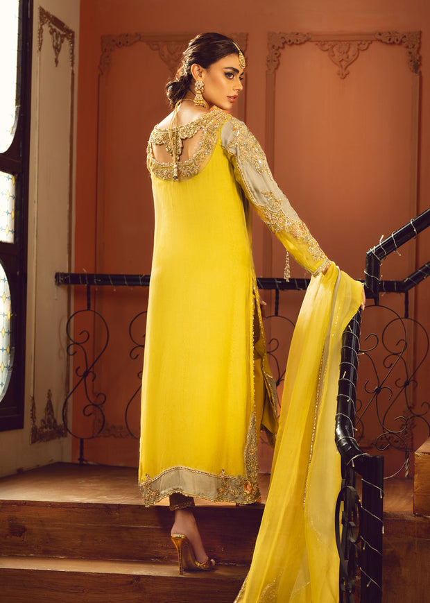 Elegant Sage and Jade Pakistani Party Dress with Gold Embroidery