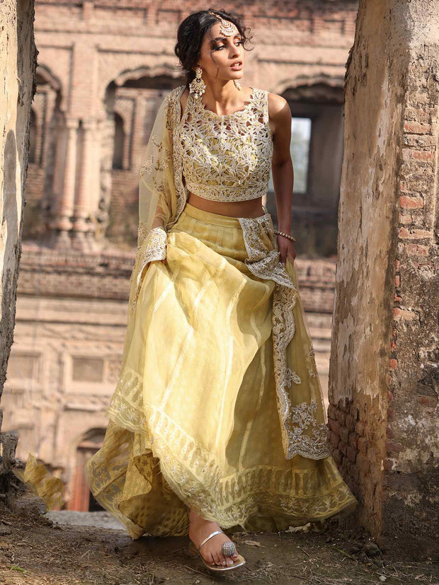 Pakistani Bridal Wear: Yellow Organza Choli & Lehenga