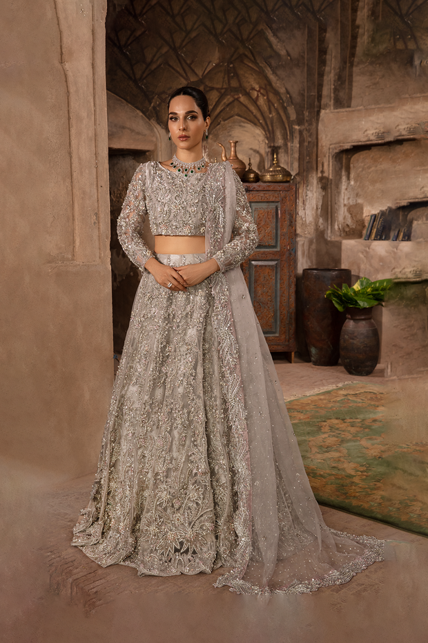 Stunning Grey Silver Pakistani Bridal Dress with Embellishments