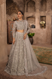 Stunning Grey Silver Pakistani Bridal Dress with Embellishments