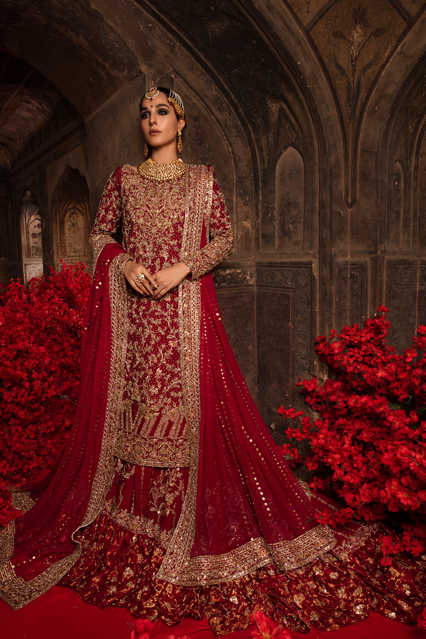 Pakistani Designer Bridal Dress in Red and Gold Embellishments