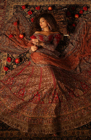 Exquisite Red Pakistani Bridal Lehenga Set for Elegance