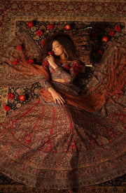 Exquisite Red Pakistani Bridal Lehenga Set for Elegance