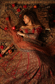 Exquisite Red Pakistani Bridal Lehenga Set for Elegance