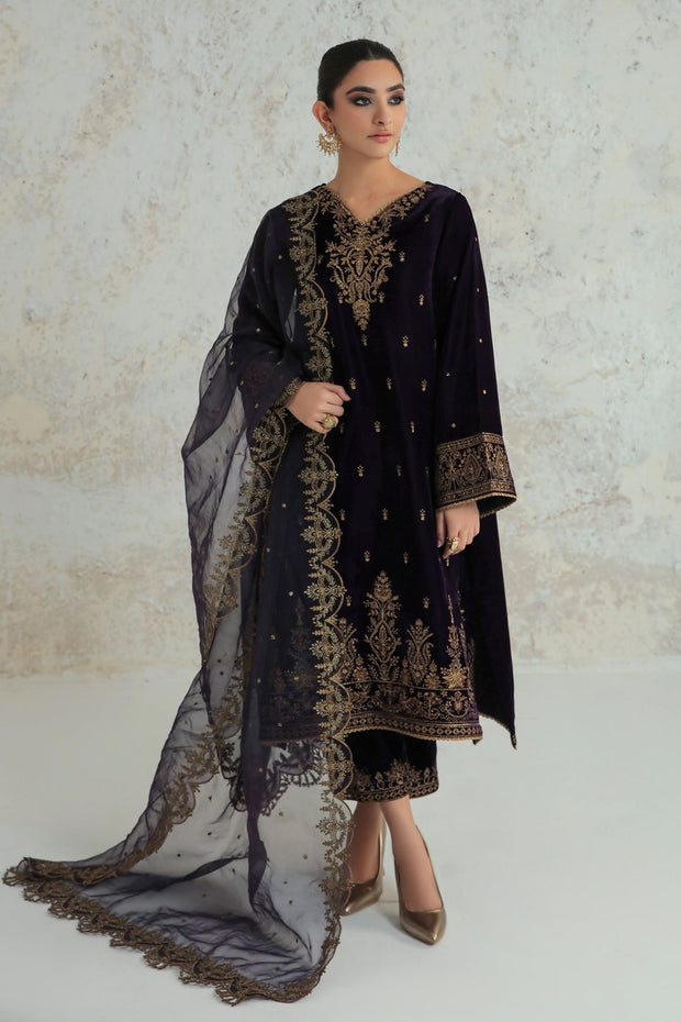 Luxurious Velvet Ensemble with Organza