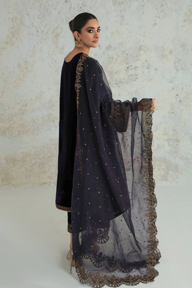 Intricate Velvet Party Dress