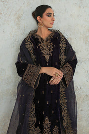 Rich Purple Velvet Dress