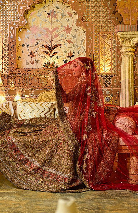 Stunning Pakistani Bridal Lehenga with Net Veil and Shawl