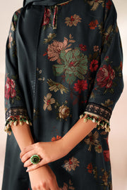 Refined Pakistani Party Dress