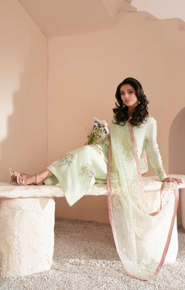 Mint Green Pakistani Party Dress with Exquisite Embellishments