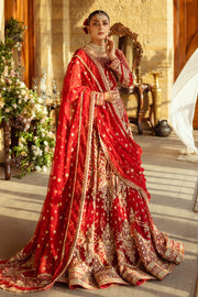 Stunning Apple Red Pakistani Bridal Dress with Heavy Embroidery
