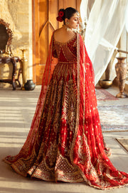 Stunning Apple Red Pakistani Bridal Dress with Heavy Embroidery