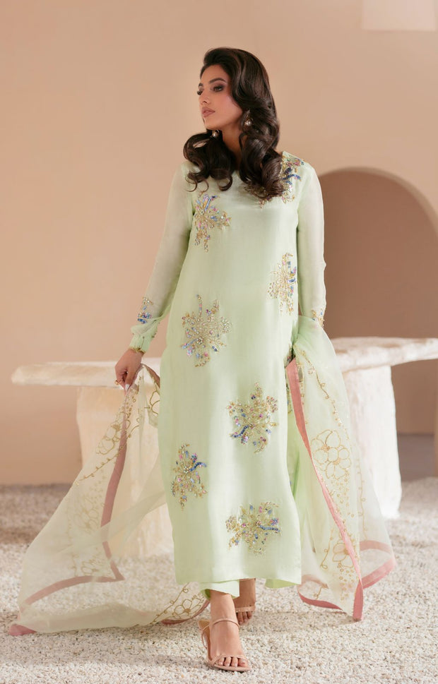 Mint Green Pakistani Party Dress with Exquisite Embellishments