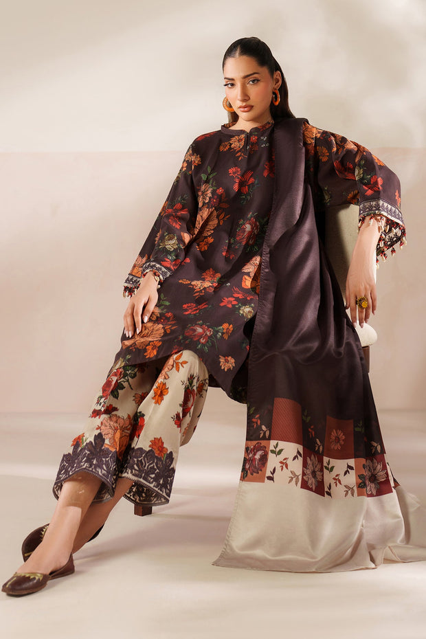 Embroidered Organza Border Outfit