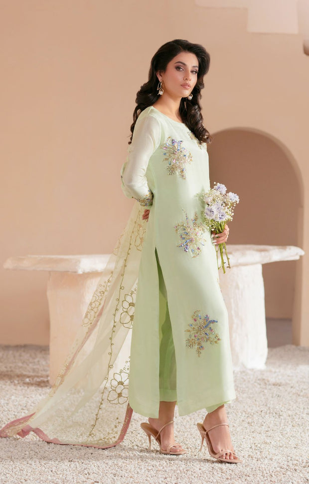 Mint Green Pakistani Party Dress with Exquisite Embellishments