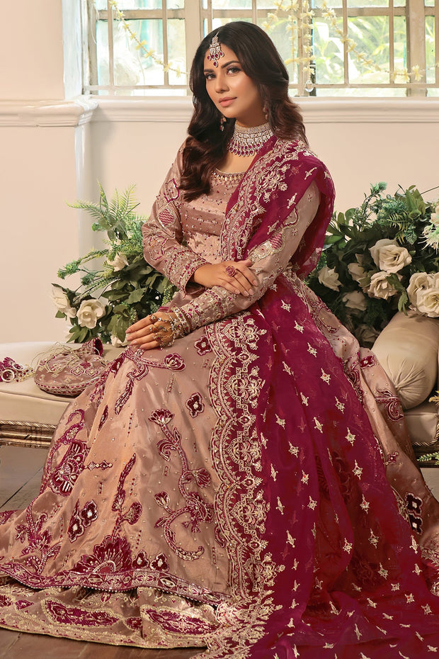 Elegant Pakistani Bridal Dress in Rose Pink & Maroon with Embroid