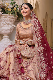 Elegant Pakistani Bridal Dress in Rose Pink & Maroon with Embroid