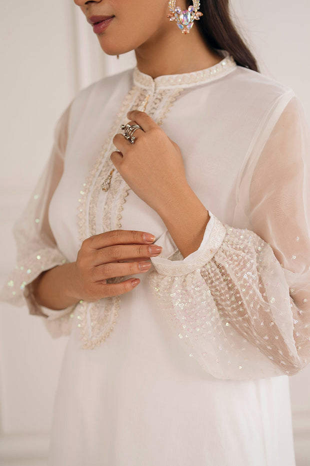 Embroidered Chiffon Party Dress Set in Ivory