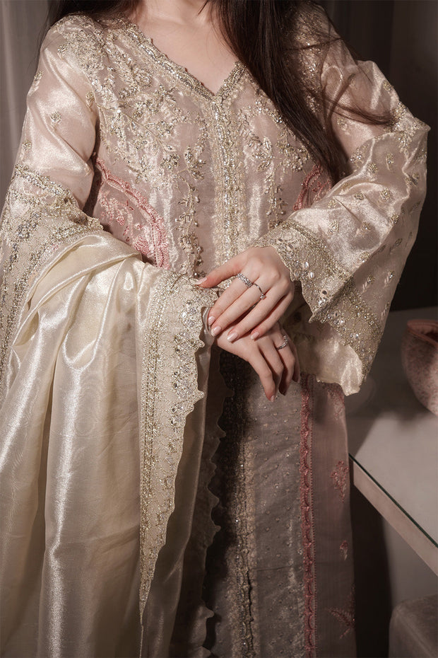 Silver Embroidered Tissue Ensemble Pakistani Party Dress