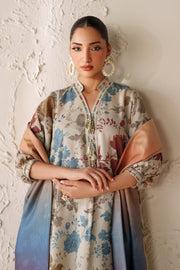 Comfortable Pakistani Dress Set