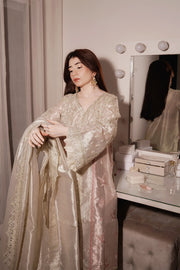 Silver Embroidered Tissue Ensemble Pakistani Party Dress