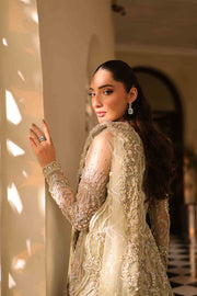 Elegant Soft Sage Green Pakistani Bridal Dress Set