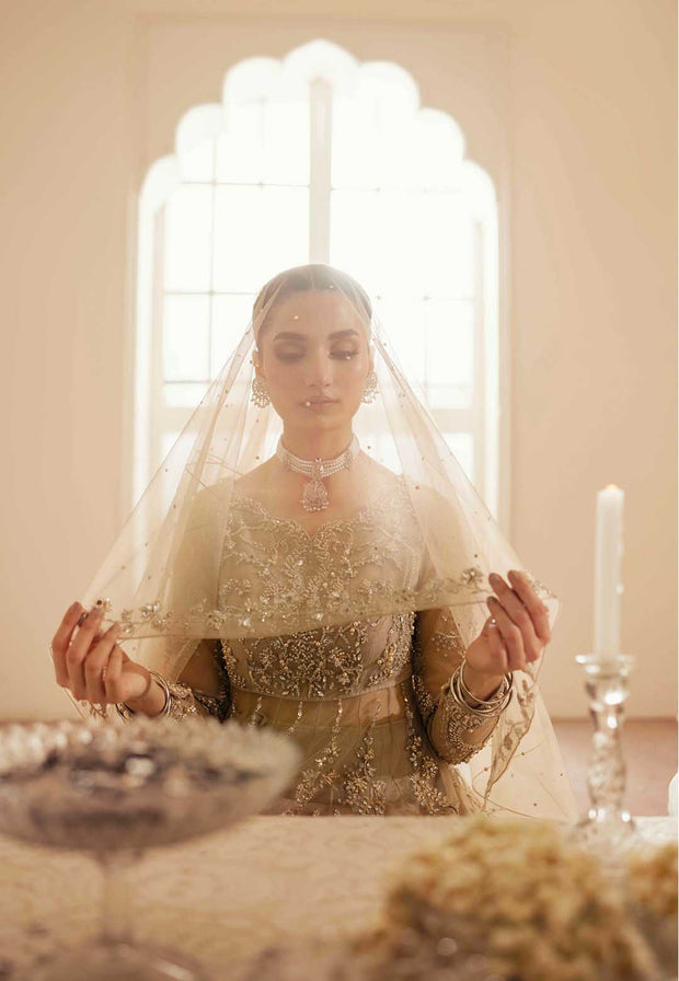 Pakistani Designer Bridal Dress in Elegant Net & Silk