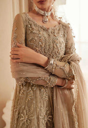 Pakistani Designer Bridal Dress in Elegant Net & Silk