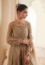 Pakistani Designer Bridal Dress in Elegant Net & Silk