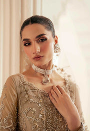 Pakistani Designer Bridal Dress in Elegant Net & Silk