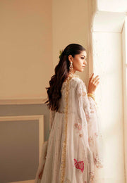 Elegant Ivory Net Pakistani Bridal Dress with Organza Details