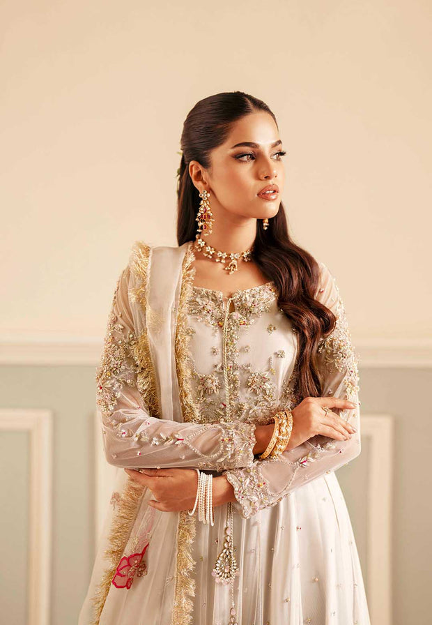 Elegant Ivory Net Pakistani Bridal Dress with Organza Details