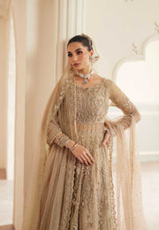 Pakistani Designer Bridal Dress in Elegant Net & Silk