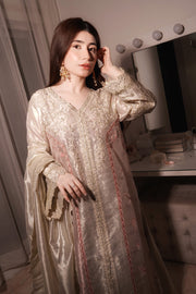 Silver Embroidered Tissue Ensemble Pakistani Party Dress