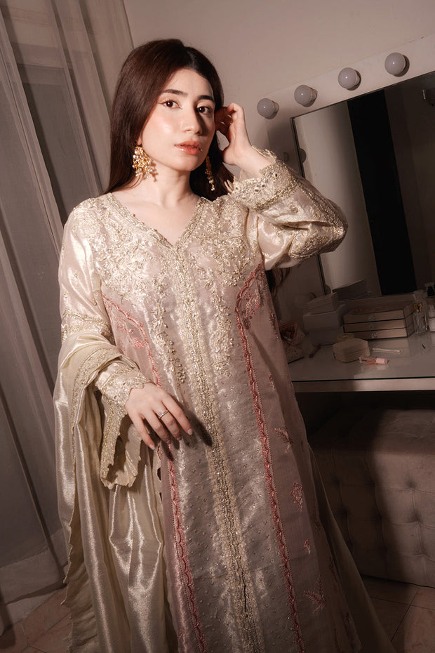 Silver Embroidered Tissue Ensemble Pakistani Party Dress